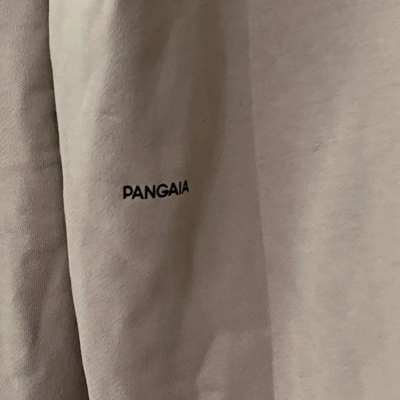 NWT PANGAIA Organic Logo Print Hoodie Sweatshirt L - Picture 10 of 16